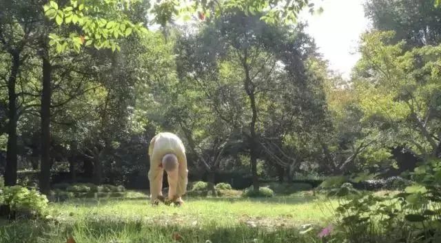 Simple and Easy to Learn! Illustrated Guide to the Twelve Movements of the Ancient Yi Jin Jing (Includes Video)