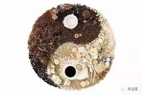 The Harmony of Yin and Yang in the Human Body and the Path of Cultivation