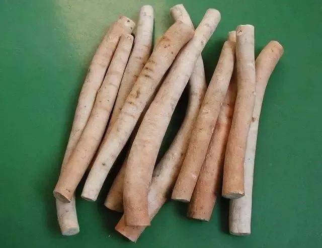 Illustrated Materia Medica: Authentic Medicinal Material 'Bai Shao'