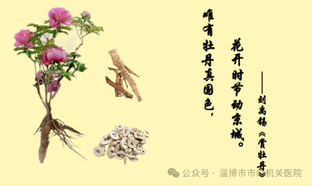 Exploring 'Bencao Gangmu' Through Poetry