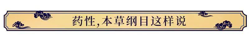 Introduction to Jin Yin Hua (Honeysuckle Flower)