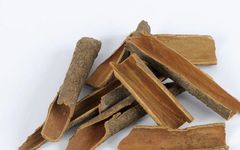 Understanding Medicinal Herbs: Cinnamon (Rou Gui)