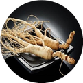 The Functions and Efficacy of Ginseng: Insights into Changbai Mountain Ginseng