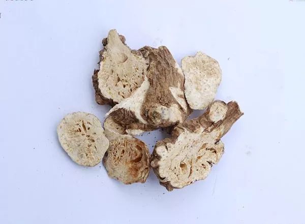 The Efficacy and Functions of Cang Zhu: Drying Dampness, Strengthening the Spleen, Dispelling Wind and Cold, and Improving Vision