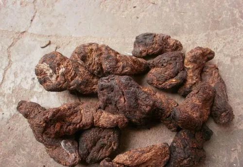 The Efficacy and Functions of Shudi Huang: Nourishing Blood, Moistening Yin, and Enriching Essence
