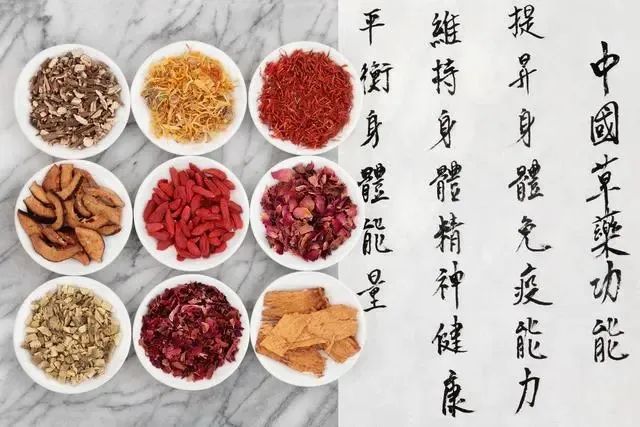 A Detailed Explanation of the Interrelationships of the Five Organs and Six Bowels in Traditional Chinese Medicine