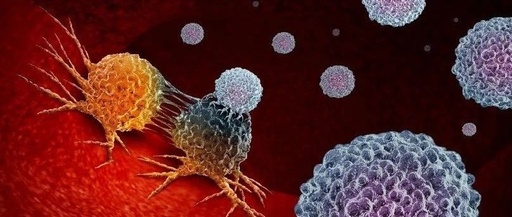 Understanding the New Anti-Cancer Drug 'Supporting the Right and Eliminating the Evil'