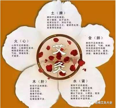 Four Major Qi-Boosting Traditional Chinese Medicine Formulas for Heart, Spleen, Lung, and Kidney Qi to Maintain Vitality All Year Round