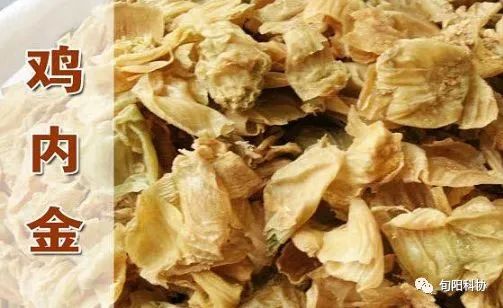 Scientific Health Preservation: A Comprehensive Guide to Dietary Therapy Recipes!
