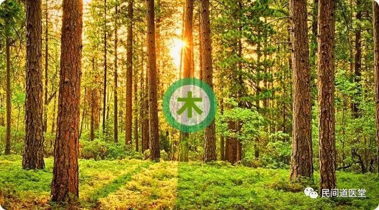 The Five Elements: Understanding Your Personality Traits