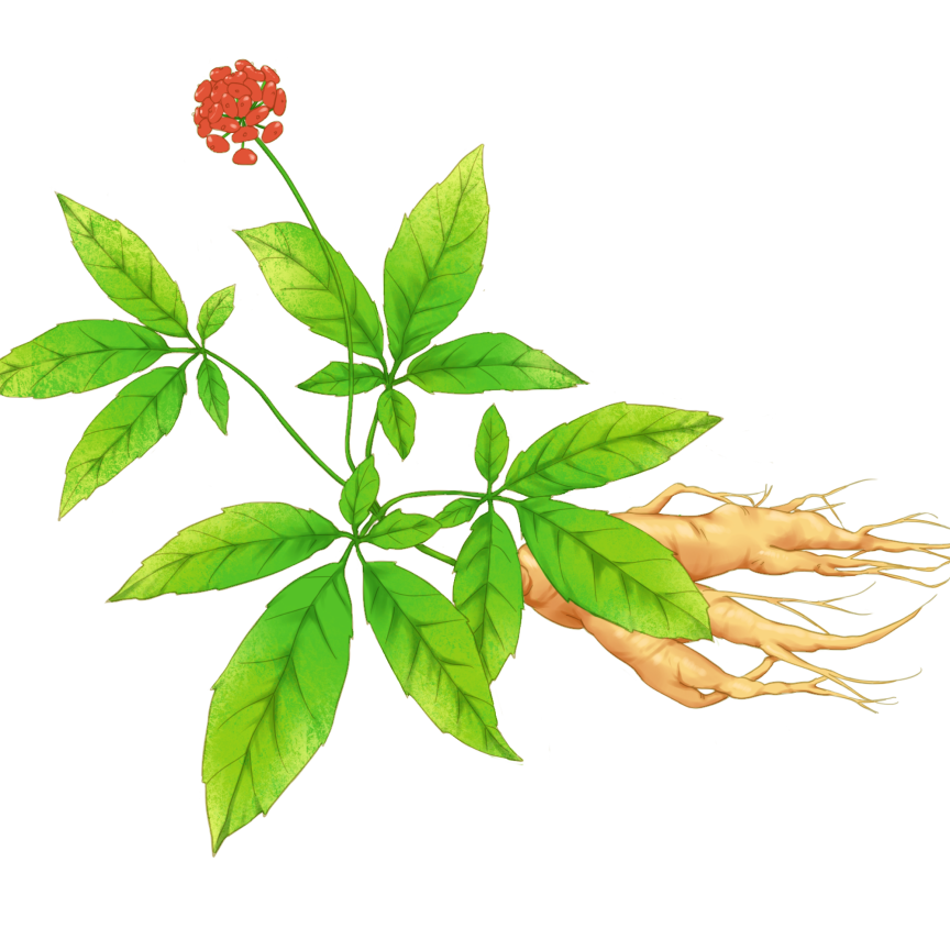 The Body Signals Illness: Understanding Tongue Diagnosis in TCM