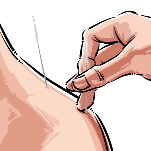 Acupoint Knowledge | Twelve Meridians: Stomach Meridian of the Foot Yangming and Zusanli