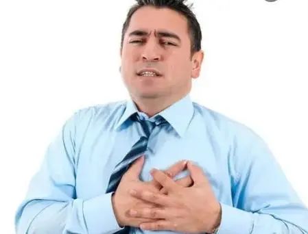 Dan Shen and Its Synergistic Effects: A Natural Approach to Improve Blood Circulation and Prevent Cardiovascular Diseases