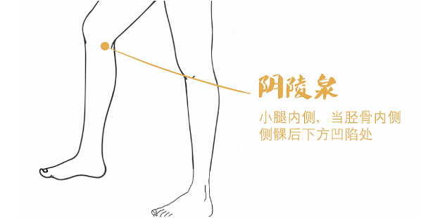 The Benefits of Gua Sha Detoxification for Women