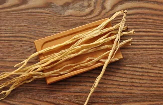 Knowledge of Ginseng Part Seven - The Effects and Usage of Codonopsis
