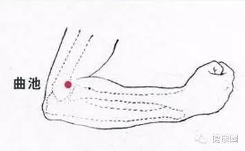 Four Key 'Dampness-Removing' Switches in Your Body