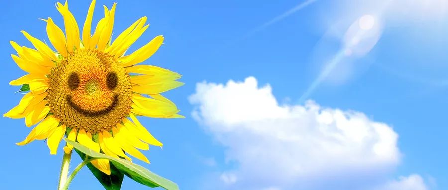 Cautions in Practicing Guo Lin Qigong: Avoid Wasting Your Efforts