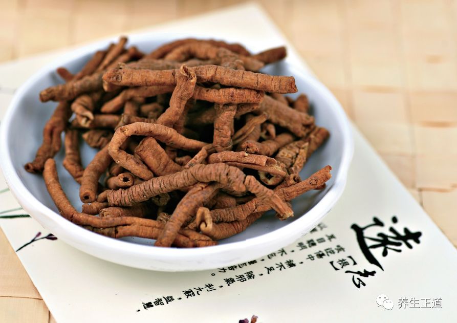 Dan Shen: A Versatile Herb for Activating Blood Circulation