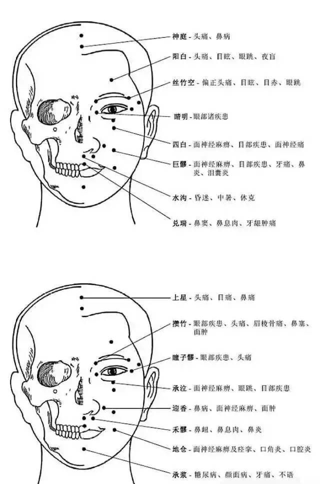 Comprehensive Explanation of Human Acupuncture Points and Their Effects: A Must-Read for Acupuncture Students!