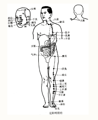 Illustration of the Twelve Meridians