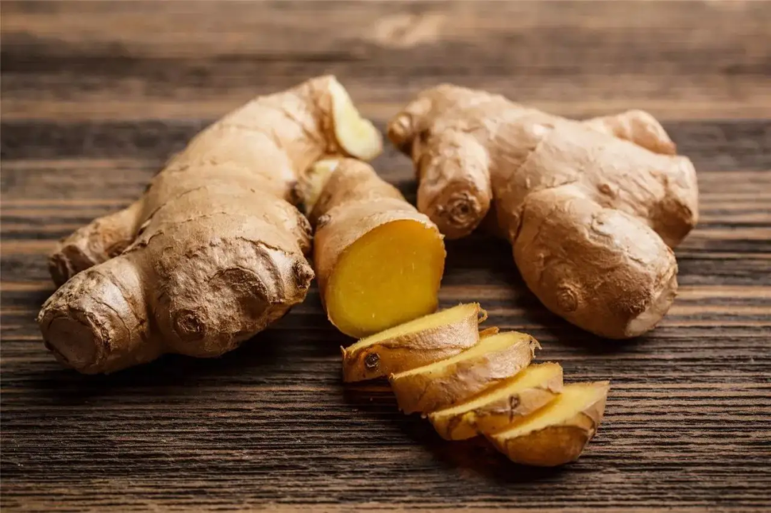 Differences in Efficacy Among Fresh Ginger, Dried Ginger, Processed Ginger, Ginger Charcoal, and Galangal