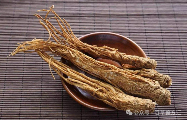 The Efficacy and Functions of Angelica Sinensis (Dang Gui)