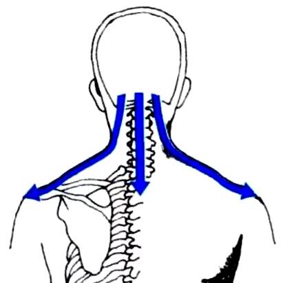 Special Gua Sha Techniques (The Essence of Gua Sha)