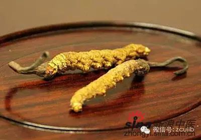 The 16 Medicinal Herbs Mentioned in Jay Chou's "Compendium of Materia Medica"