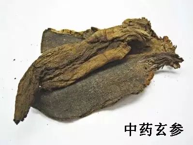 Commonly Used Chinese Herbs for Clearing Heat and Detoxifying