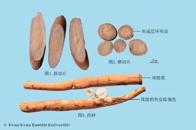Premium Chinese Medicine | Bai Shao (White Peony)