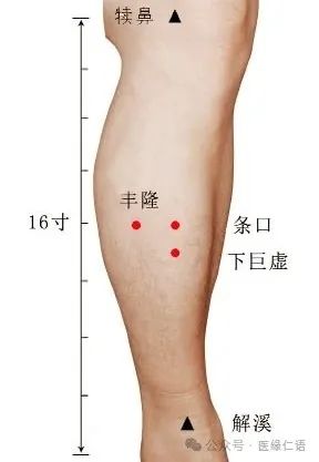 Regulating Phlegm-Damp Constitution to Prevent Nodules