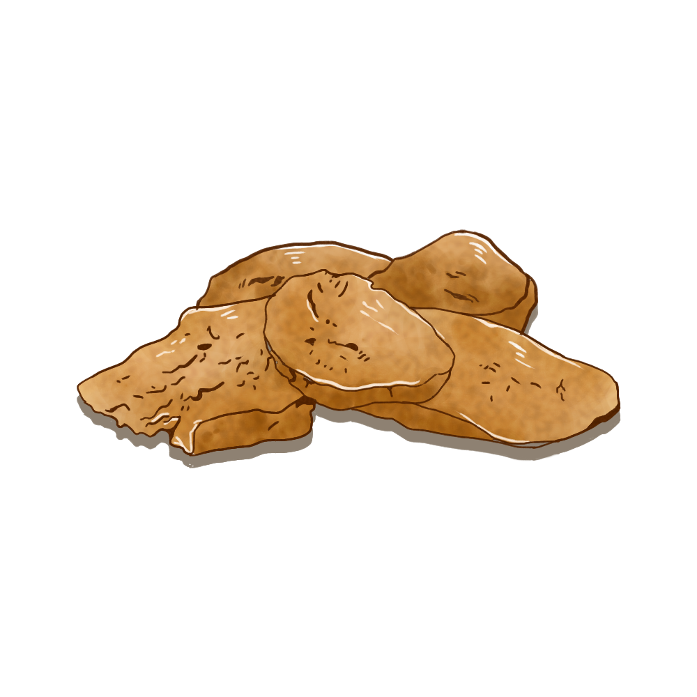 Recommended Formulas by Renowned Physicians | Cinnamon and Shenqi Pill: Nourishing Fire and Supporting Yang, Transforming Qi and Promoting Water Flow