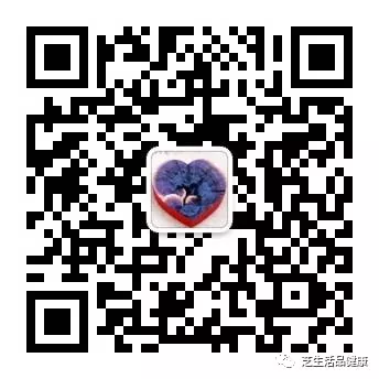 Foundations of Traditional Chinese Medicine: Functions of the Five Organs and Six Bowels