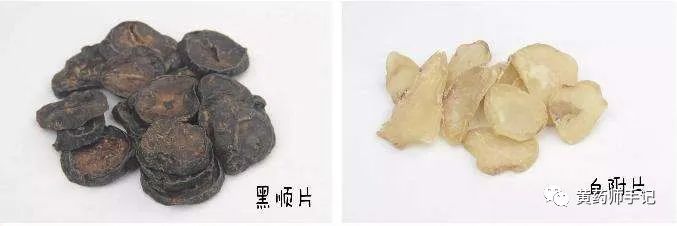 5 Commonly Confused Chinese Herbs: Is Dried Ginger Just Sun-Dried Fresh Ginger? Is Cinnamon the Same as Cassia?