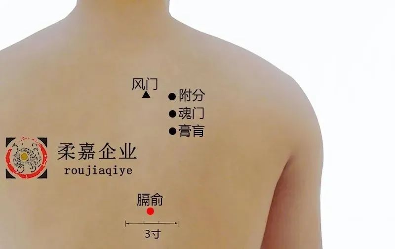 Blood Stasis Causes Various Illnesses: A TCM Approach to Unblock Blood Vessels and Eliminate Stasis!