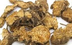 The Medicinal Properties of Cang Zhu (Atractylodes)