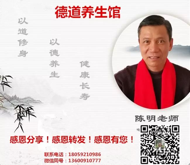 Daily Learning of a Chinese Herb: Atractylodes (Cang Zhu)