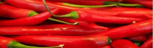 Daily Herb Knowledge: Good Morning | Huang Lian - "Clears Heat, Drains Dampness, Relieves Fire and Detoxifies"