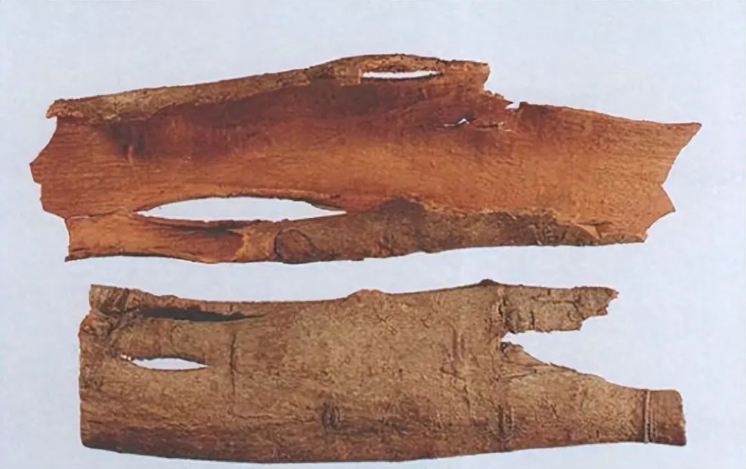 Identification of Cinnamon in Traditional Chinese Medicine