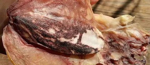 Entering Winter After Frost's Descent: How to Nourish Two Types of Blood Deficiency?