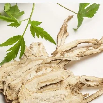 Understanding Angelica Sinensis: Its Processing and Applications