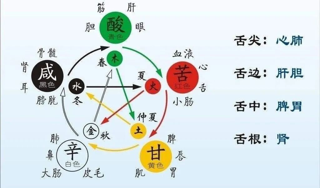 Daily Learning | In-Depth Interpretation of the Generating and Overcoming Relationships of the Five Elements