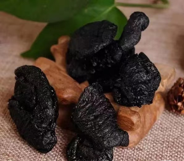 Understanding a Traditional Chinese Herb Every Day - Rehmannia Glutinosa