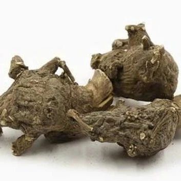 The Four Major Effects and Functions of Aconite, and Who Should Avoid Its Use