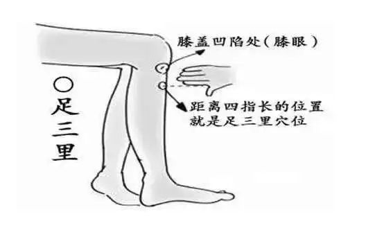 Identifying TCM Constitutions for More Accurate Regulation