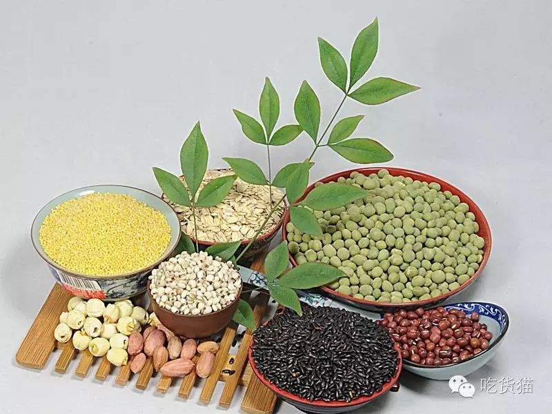 Understanding the Properties and Dietary Recommendations of Grains in TCM