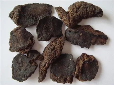 Six Remarkable Uses of Shudi Huang (Rehmannia Glutinosa)