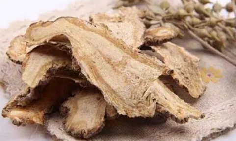 Daily Learning of a Chinese Herb: Angelica Sinensis