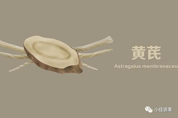 Understanding the Four Types of Pain Associated with Yin Deficiency in TCM