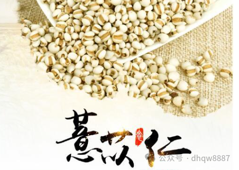 The Efficacy of Coix Seed (Yi Yi Ren): Strengthening the Spleen and Stomach, Skin Whitening, and Dispelling Wind-Dampness
